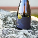 Chardonnay P. M. 2021 Sekt Veľká zlatá medaila