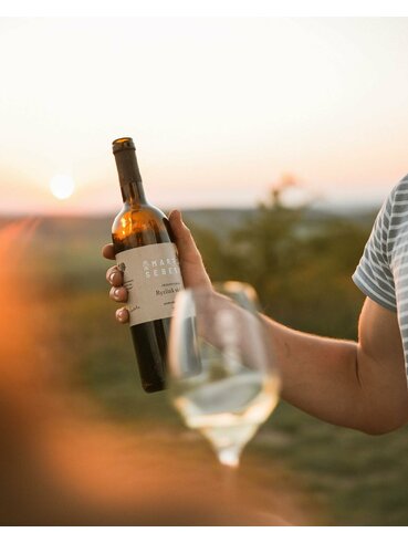 Rizling vlašský 2024