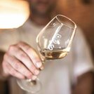 Rizling vlašský 2024