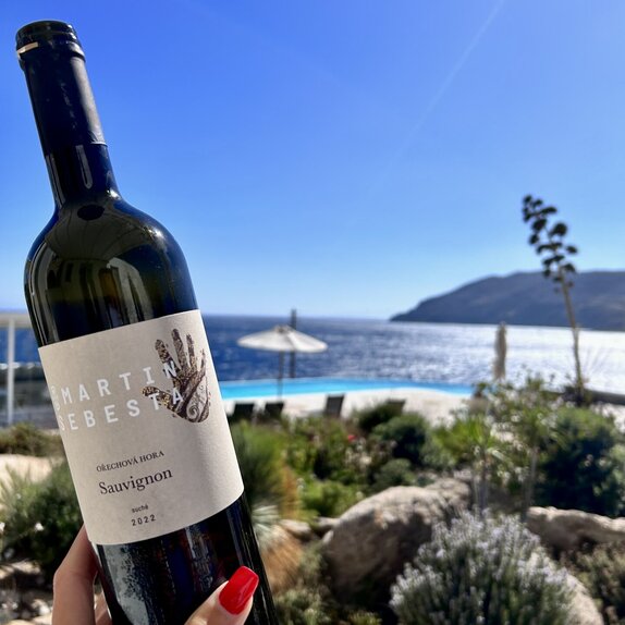 Sauvignon 2023