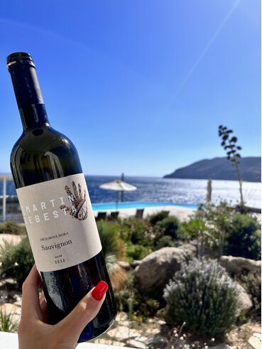 Sauvignon 2023